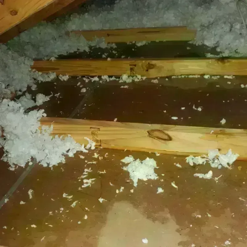 Attic Water Damage in East Cleveland, OH