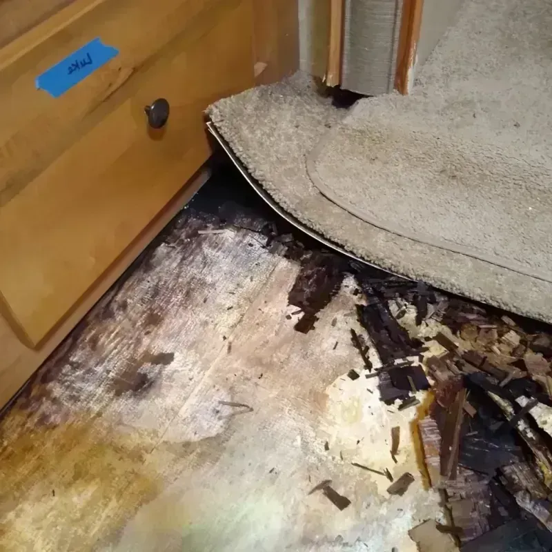 Wood Floor Water Damage in East Cleveland, OH